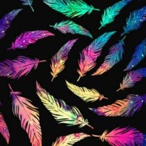 Meet your Posher, Eva